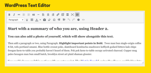 WordPress Text Editor